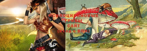 Альфа ПВП Армянск