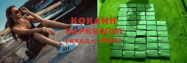 молекула духа Арсеньев